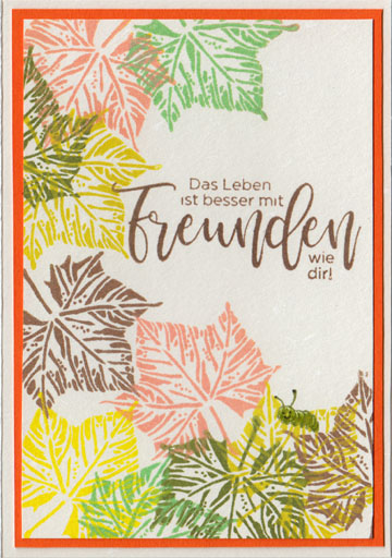 Original-Bild
