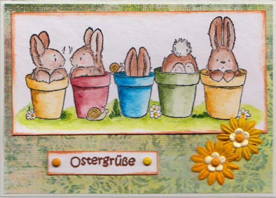 Original-Bild