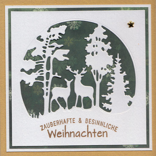 Original-Bild