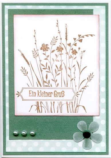 Original-Bild